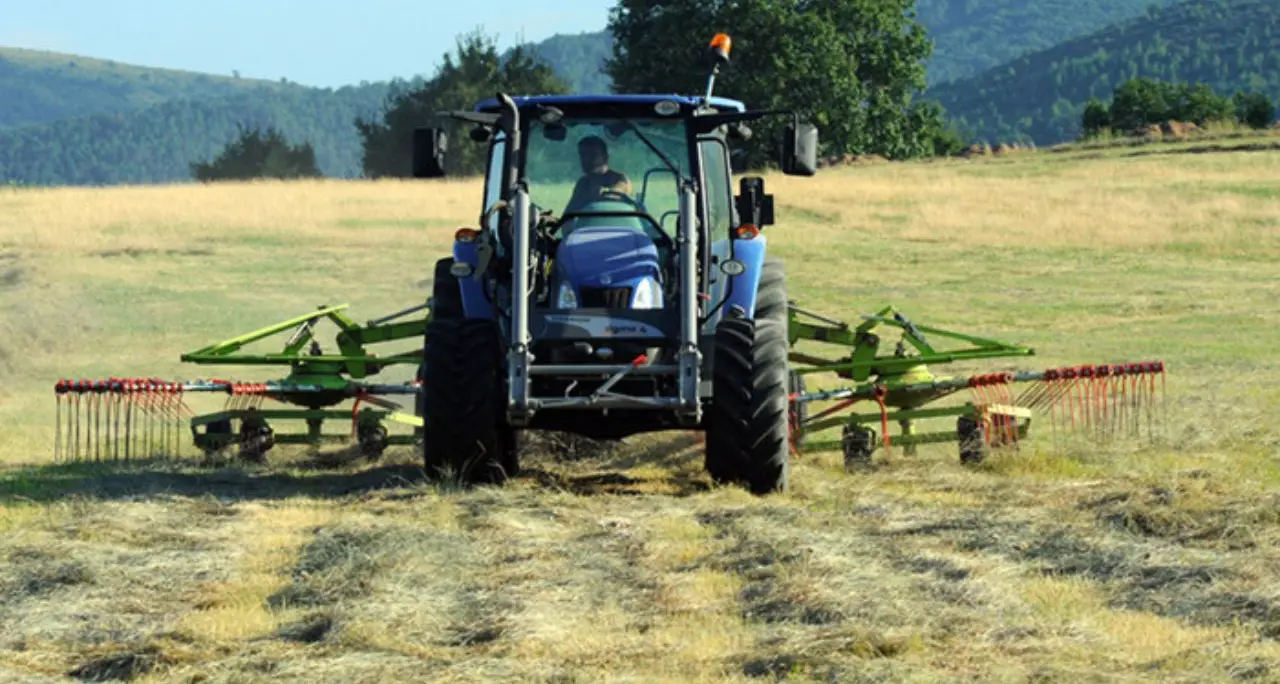 Arcea eroga oltre 6 milioni di euro agli agricoltori calabresi, Gallo: «Sostegno concreto e tempestivo»\n
