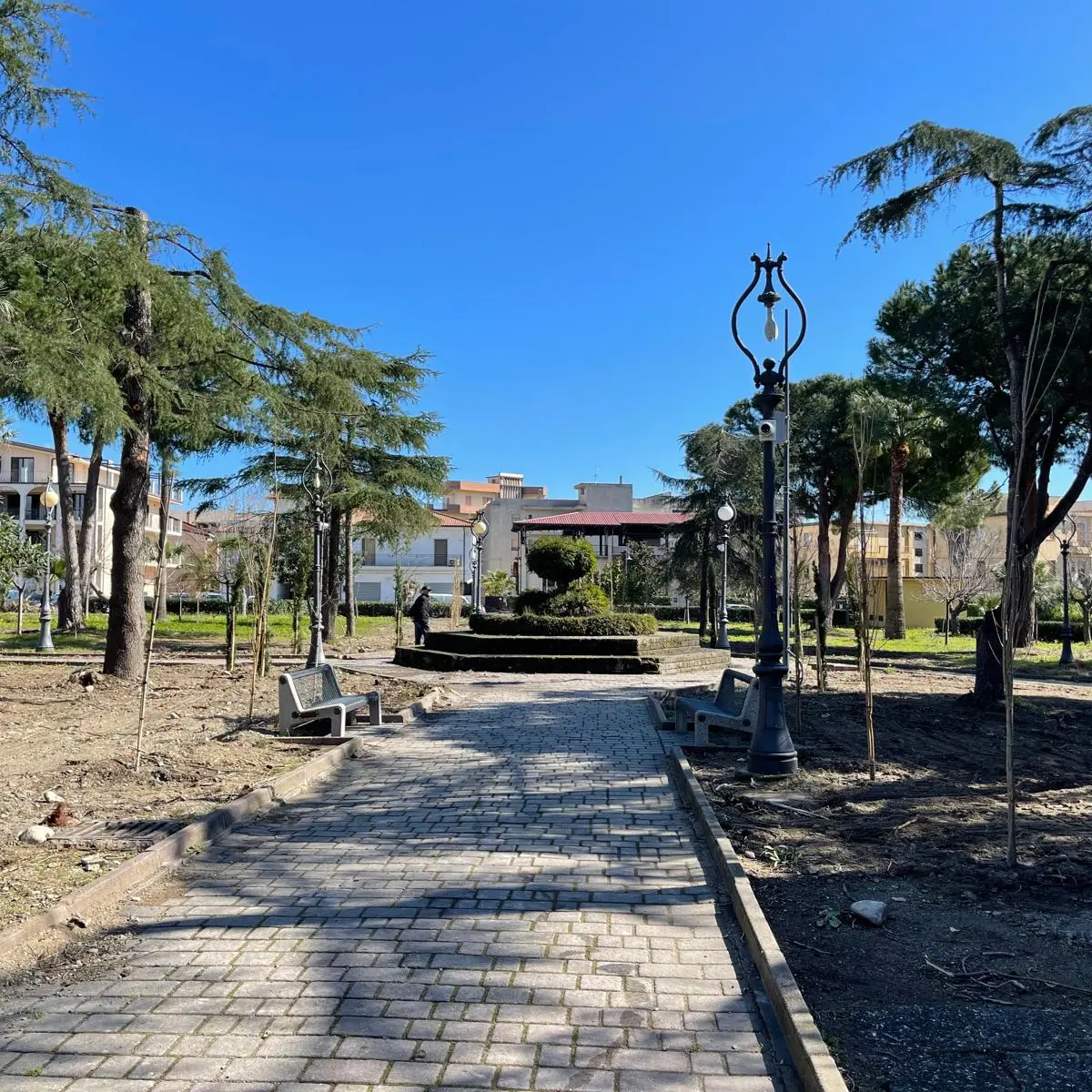 Alberi tagliati a Caulonia, il mea culpa del Comune: «Abbiamo sbagliato»\n