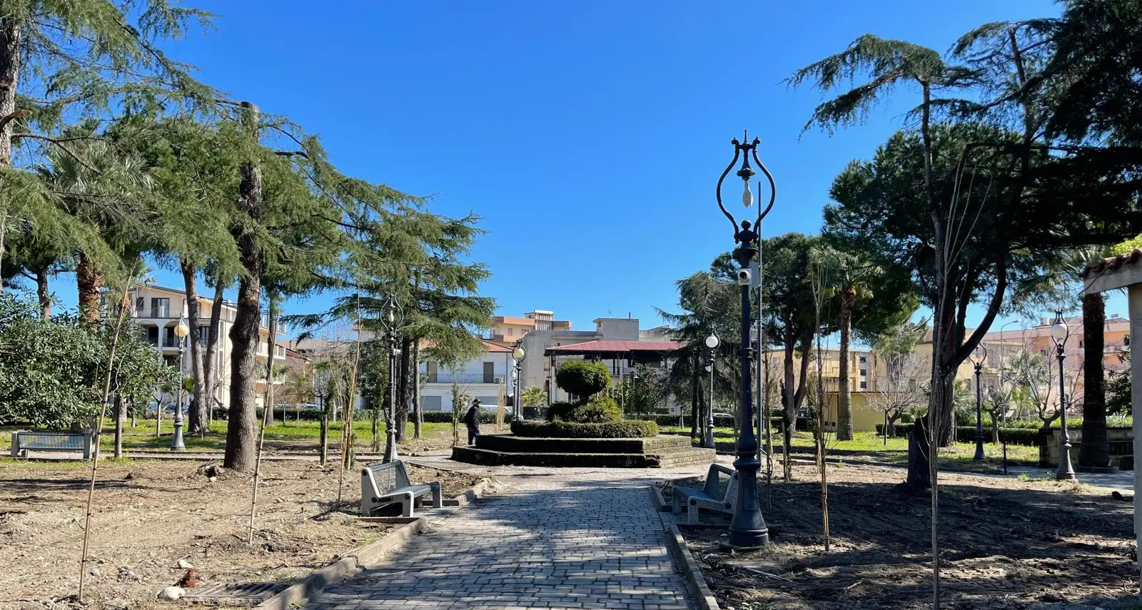 Alberi tagliati a Caulonia, il mea culpa del Comune: «Abbiamo sbagliato»\n