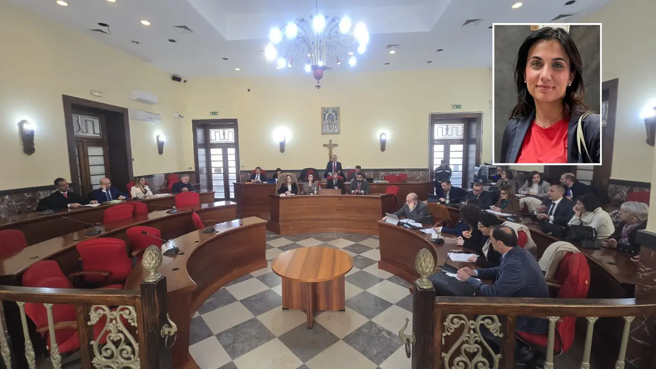 Consiglio comunale di Vibo, Laura Pugliese nuovo capogruppo del Pd ma le tensioni restano\n