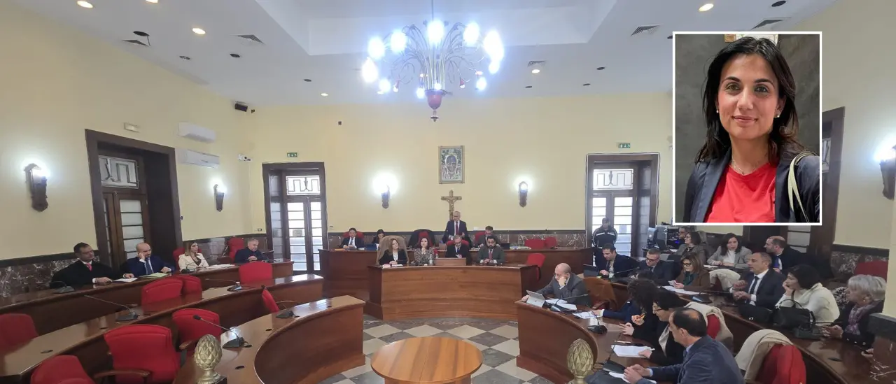 Consiglio comunale di Vibo, Laura Pugliese nuovo capogruppo del Pd ma le tensioni restano\n