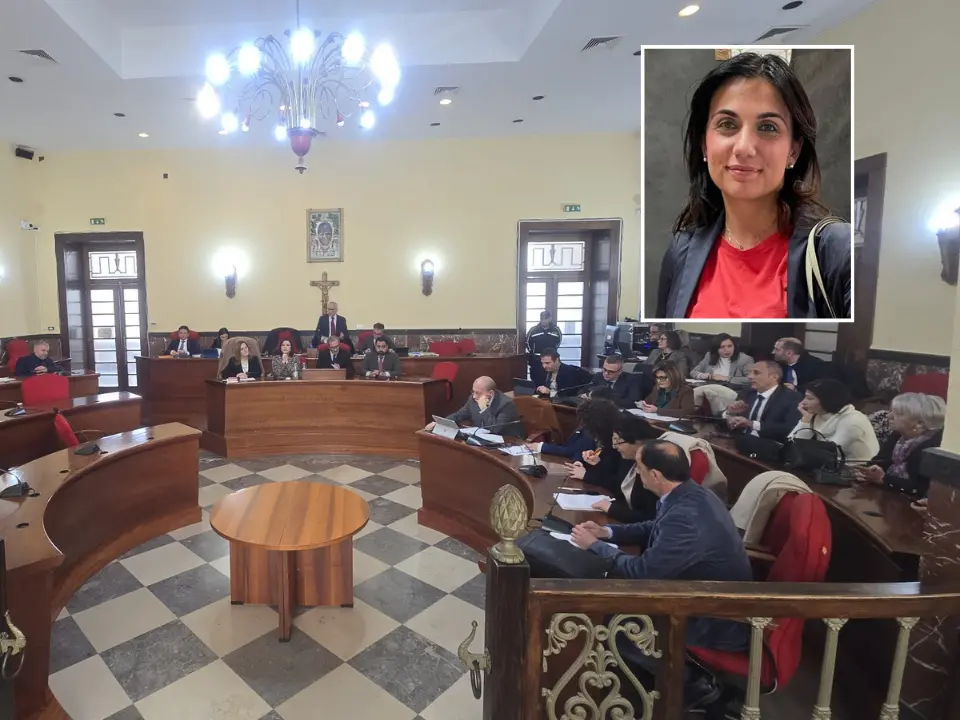 Consiglio comunale di Vibo, Laura Pugliese nuovo capogruppo del Pd ma le tensioni restano