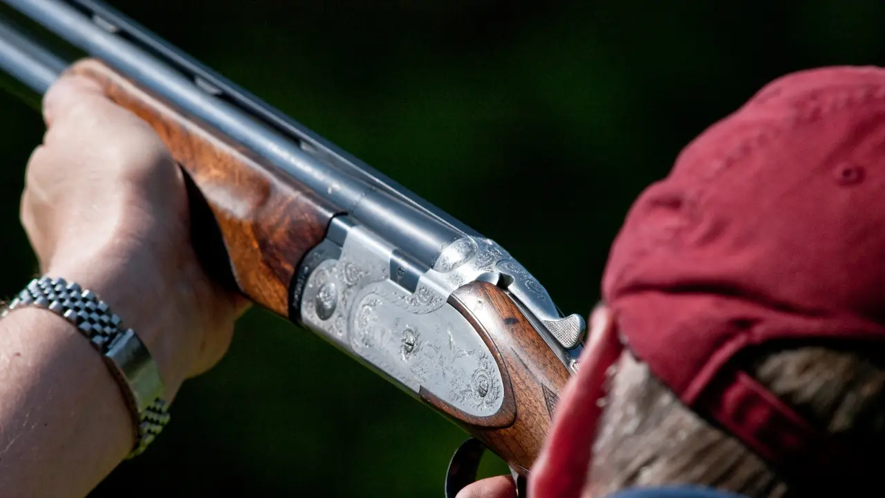 «Può detenere armi»: il Consiglio di Stato accoglie il ricorso di un imprenditore vibonese e dà torto a Tar e Viminale\n