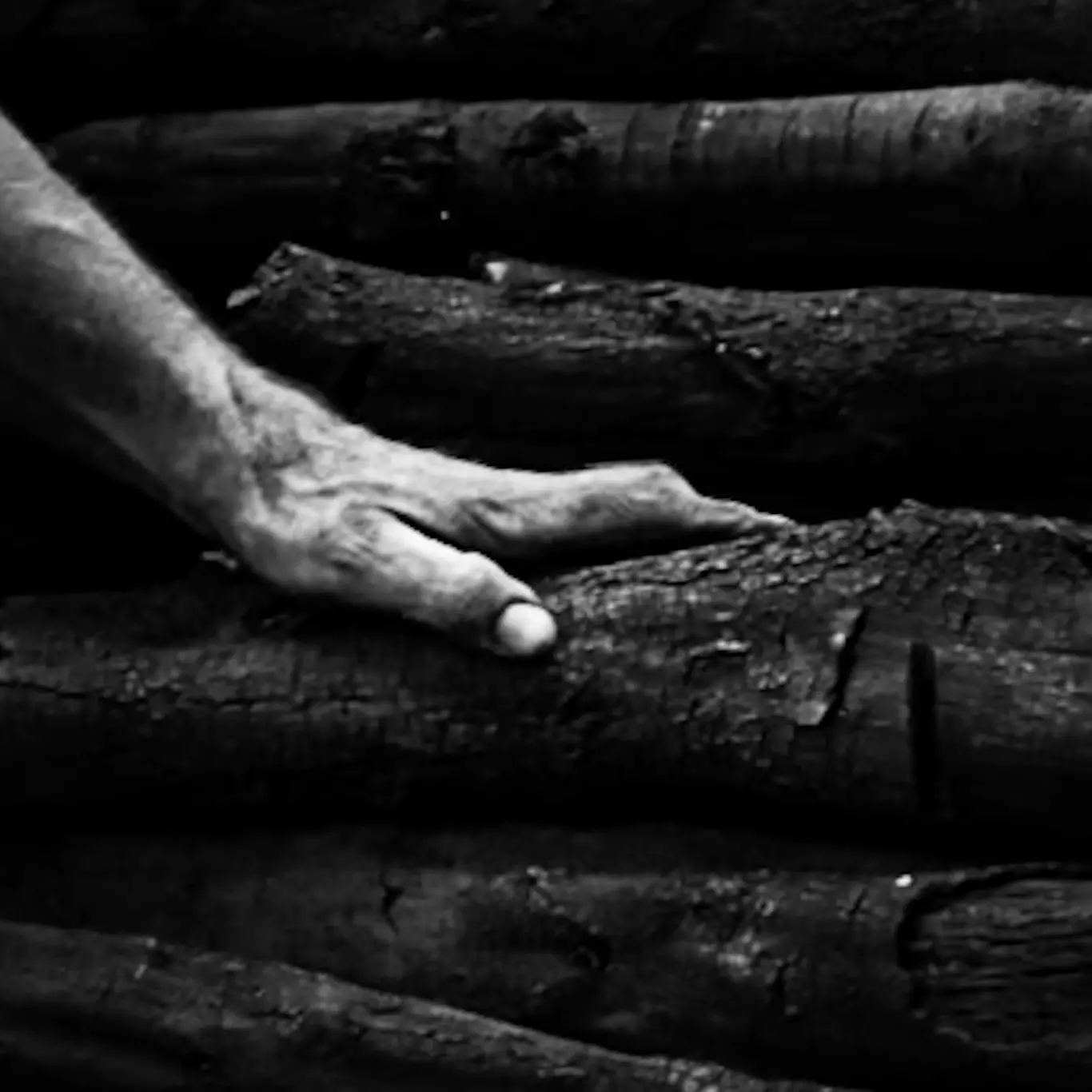 Da Tokyo a Catanzaro: Ljdia Musso trionfa ai TIFA 2025 e lancia il laboratorio autoriale \"Tradurre l'Invisibile”\n