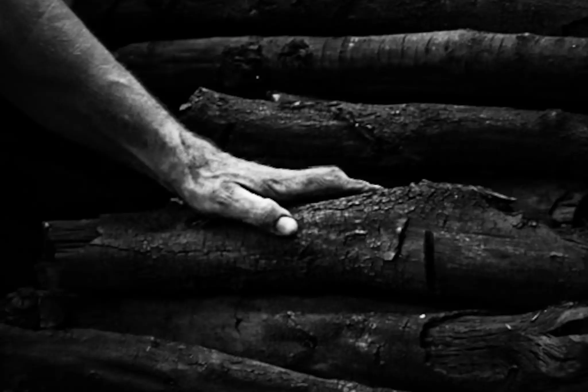 Da Tokyo a Catanzaro: Ljdia Musso trionfa ai TIFA 2025 e lancia il laboratorio autoriale \"Tradurre l'Invisibile”\n