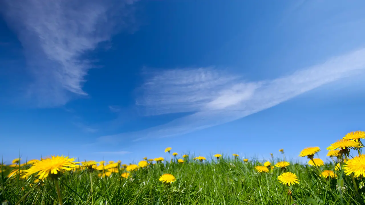 Meteo Vibonese, la primavera è già qui: sole e temperature miti\u00A0anche nella prossima settimana\n