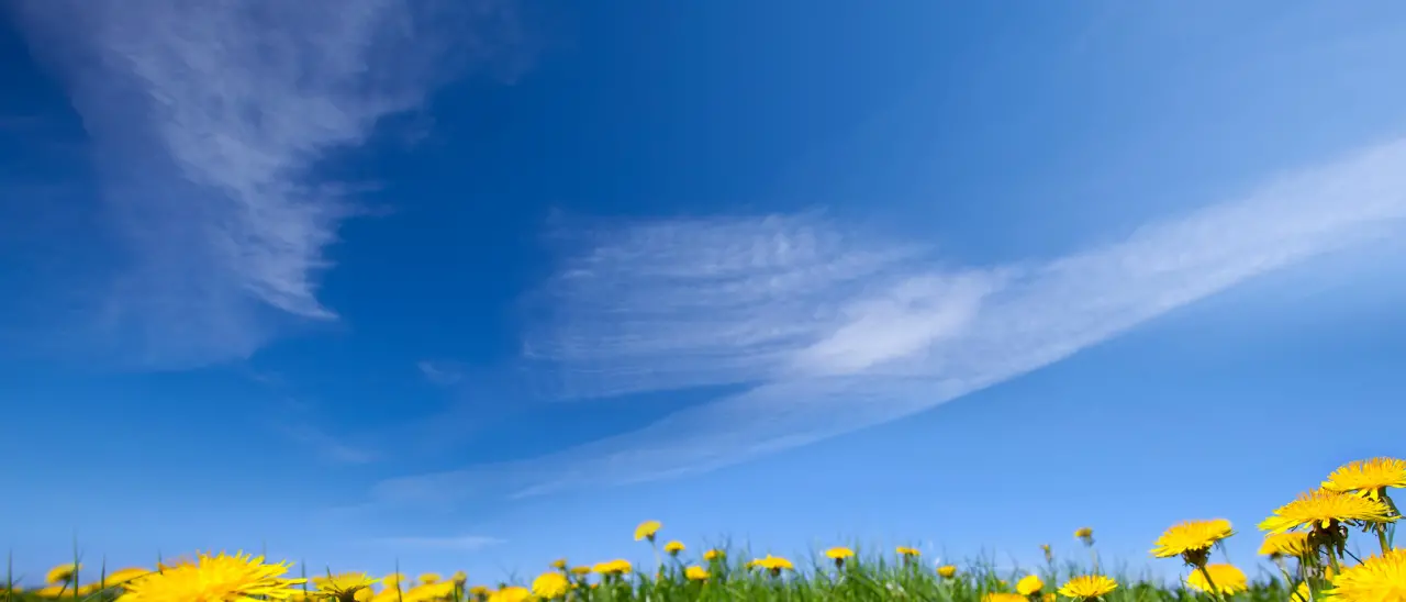 Meteo Vibonese, la primavera è già qui: sole e temperature miti\u00A0anche nella prossima settimana\n