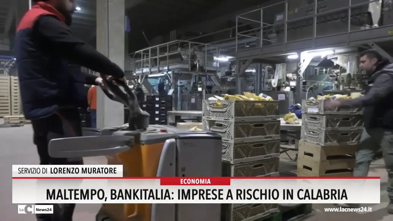 Maltempo, Bankitalia: \"Imprese a rischio in Calabria\"