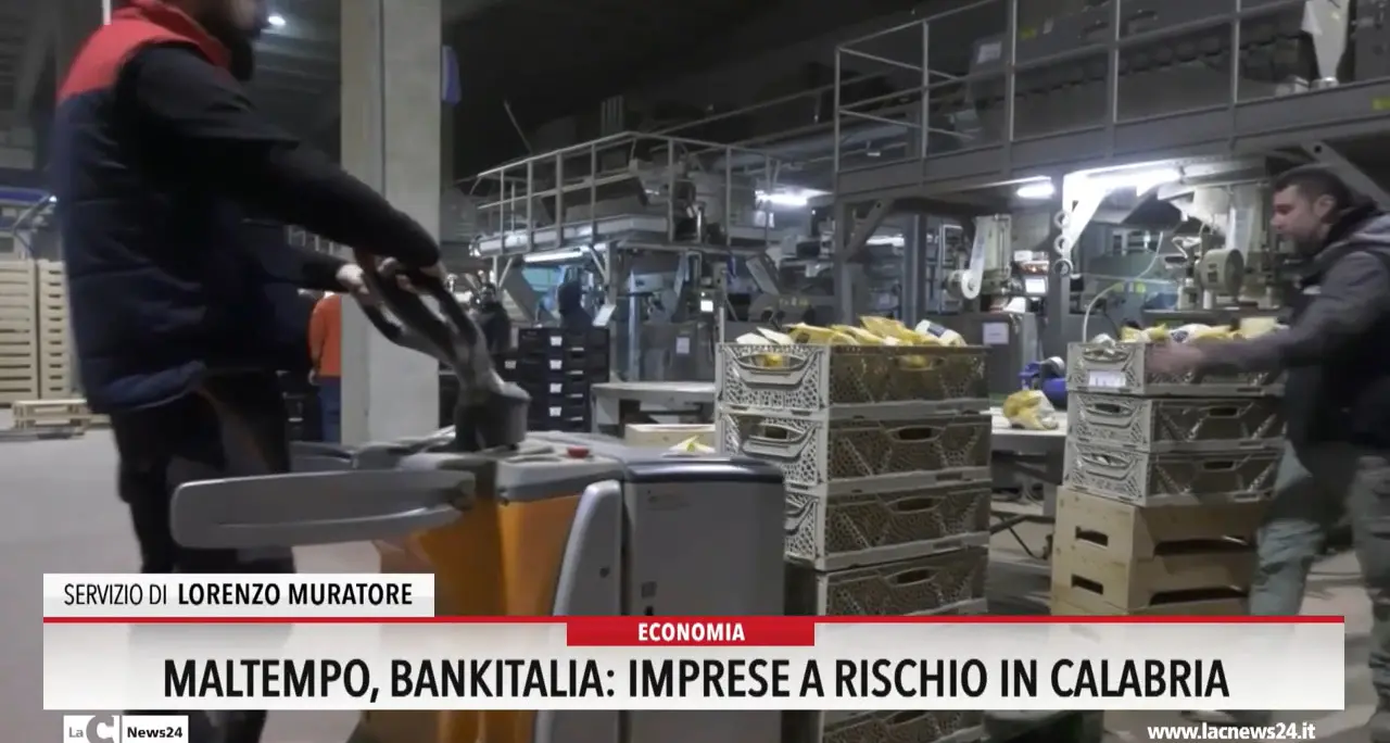 Maltempo, Bankitalia: \"Imprese a rischio in Calabria\"