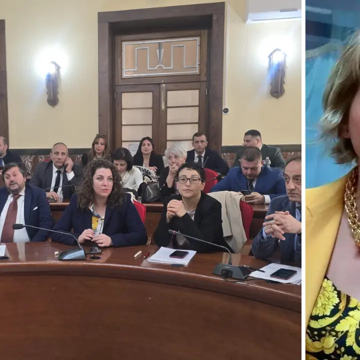 Rottamazione cartelle a Vibo, l’ex sindaco Limardo: «Il Comune mi ha dato ragione. Forse ne ha azzeccata una»\n