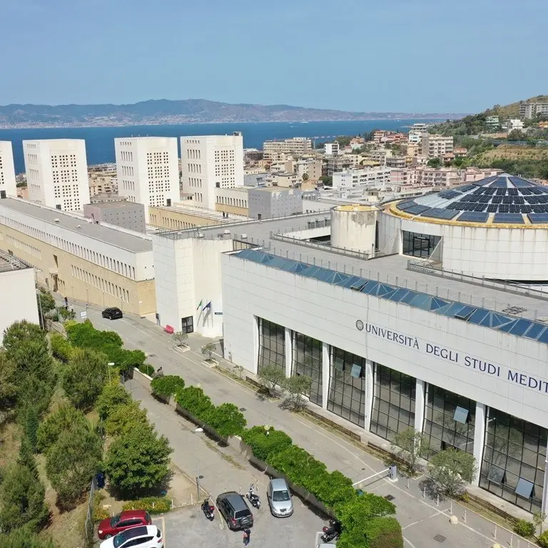 Reggio, alla Mediterranea la presentazione del libro di Celeste Costantino\n