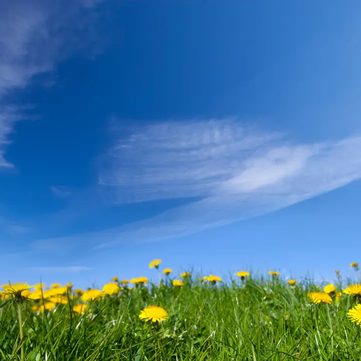 La primavera meteorologica inizia oggi 1 marzo, quella astronomica il 21: ecco le differenze\n
