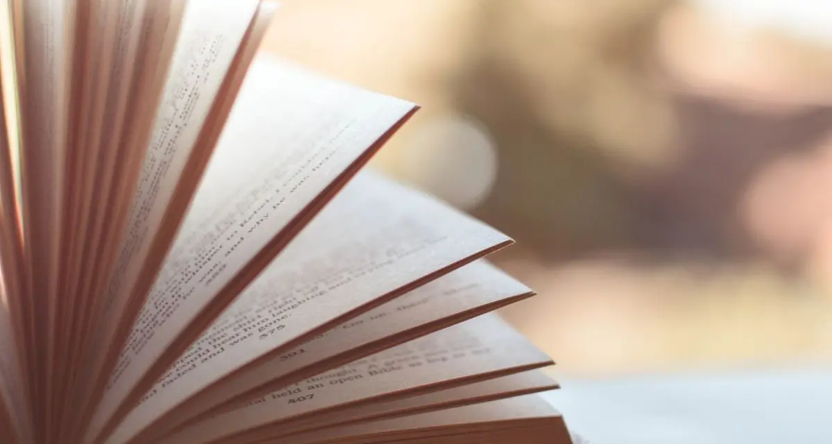 Essere giovani in Calabria oggi: il libro di Furleo e Zappalà che racconta il coraggio delle scelte\n