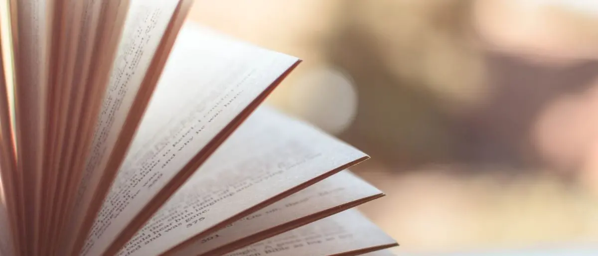 Essere giovani in Calabria oggi: il libro di Furleo e Zappalà che racconta il coraggio delle scelte\n