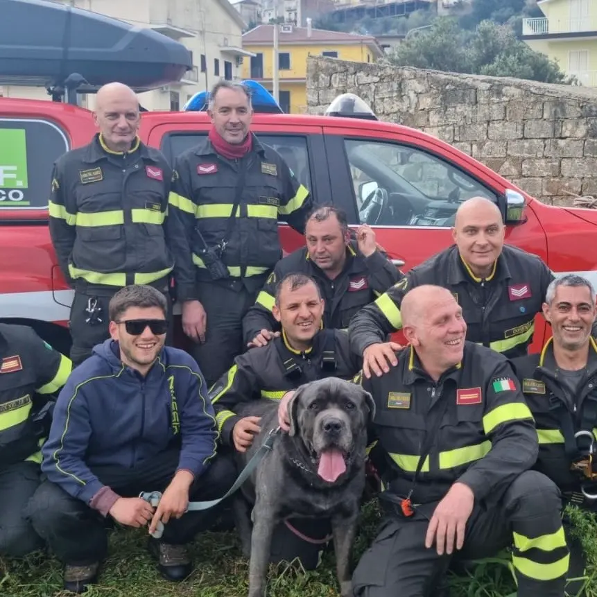 Terranova da Sibari, i vigili del fuoco salvano un cane Corso: era precipitato\u00A0in una scarpata\n