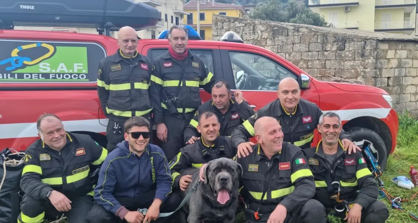 Terranova da Sibari, i vigili del fuoco salvano un cane Corso: era precipitato\u00A0in una scarpata\n