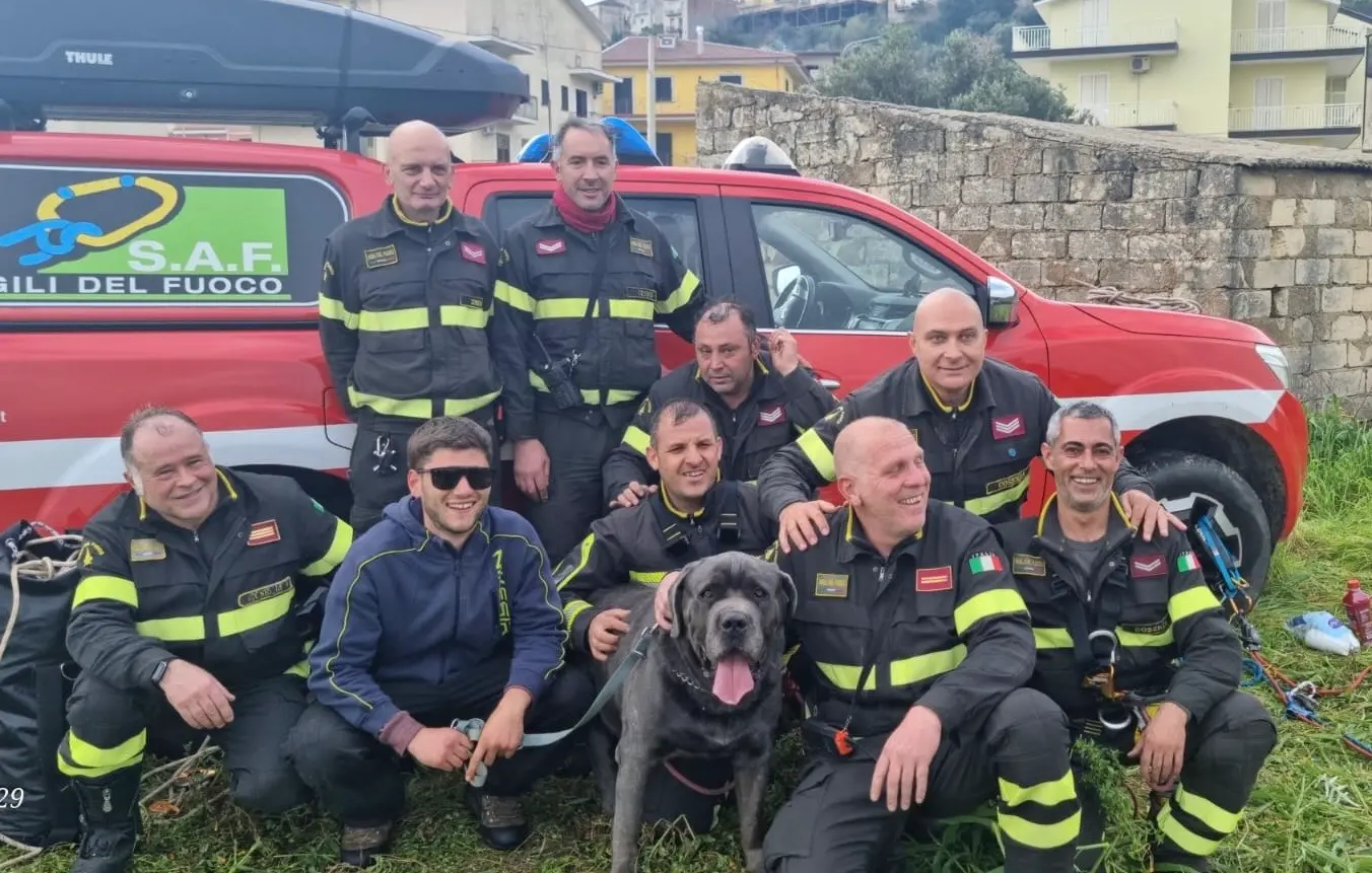 Terranova da Sibari, i vigili del fuoco salvano un cane Corso: era precipitato\u00A0in una scarpata\n