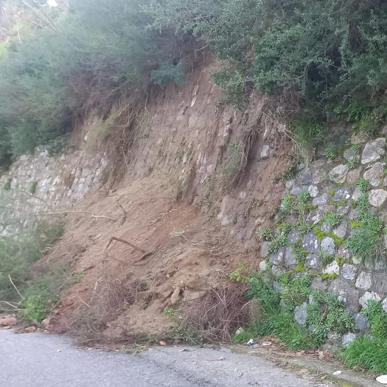 Mosorrofa, frana in via Sella San Giovanni: Forza Reggio e Oipa chiedono interventi urgenti\n