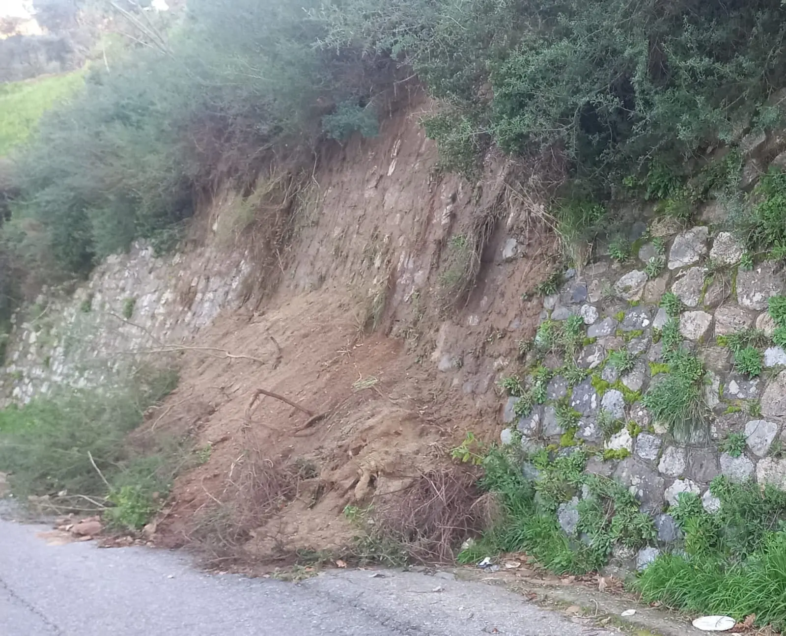 Mosorrofa, frana in via Sella San Giovanni: Forza Reggio e Oipa chiedono interventi urgenti\n