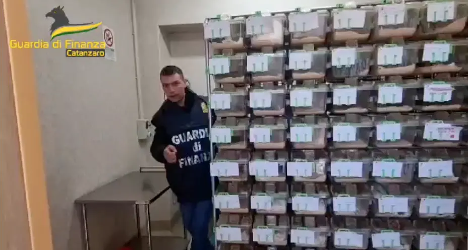 Terremoto all’università Magna Graecia di Catanzaro, rinviati a giudizio l’ex rettore De Sarro, il cardiologo Indolfi e altri 8 –\u00A0NOMI\n