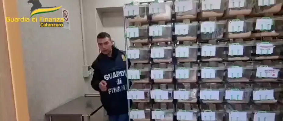 Terremoto all’università Magna Graecia di Catanzaro, rinviati a giudizio l’ex rettore De Sarro, il cardiologo Indolfi e altri 8 –\u00A0NOMI\n