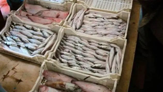 <p>Foto di repertorio</p>\\n