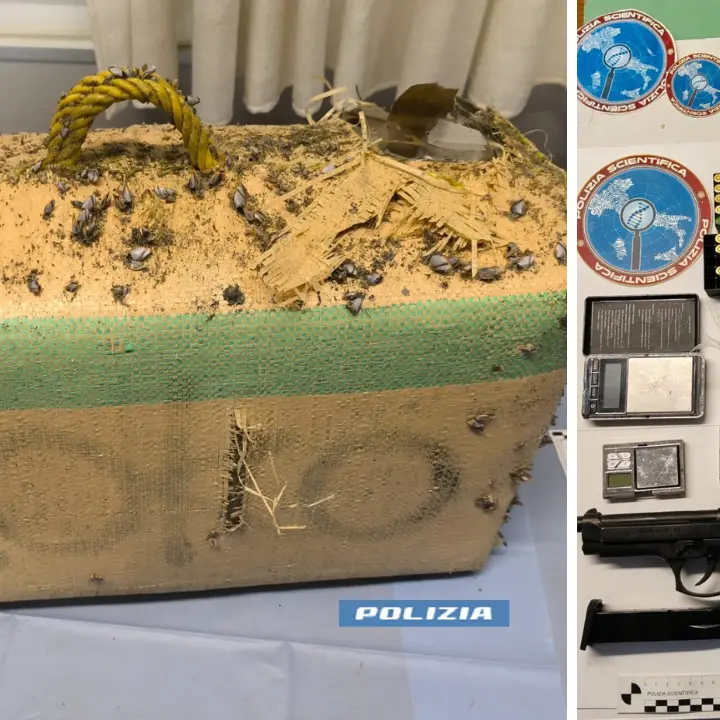Sequestrati quasi 40 chili di hashish a Gizzeria, trovati 360 panetti in un pacco recuperato in riva al mare\n