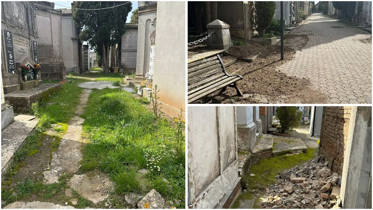 Cuore Vibonese denuncia il degrado dei cimiteri: «Situazione insostenibile in tutte le strutture comunali» –\u00A0VIDEO\n