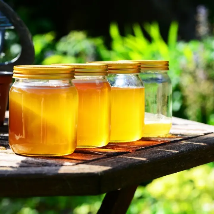 Nasce Op Apica, la prima organizzazione di produttori di miele in Calabria: è la terza in Italia\n