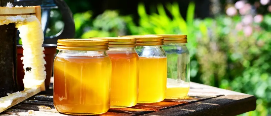 Nasce Op Apica, la prima organizzazione di produttori di miele in Calabria: è la terza in Italia\n