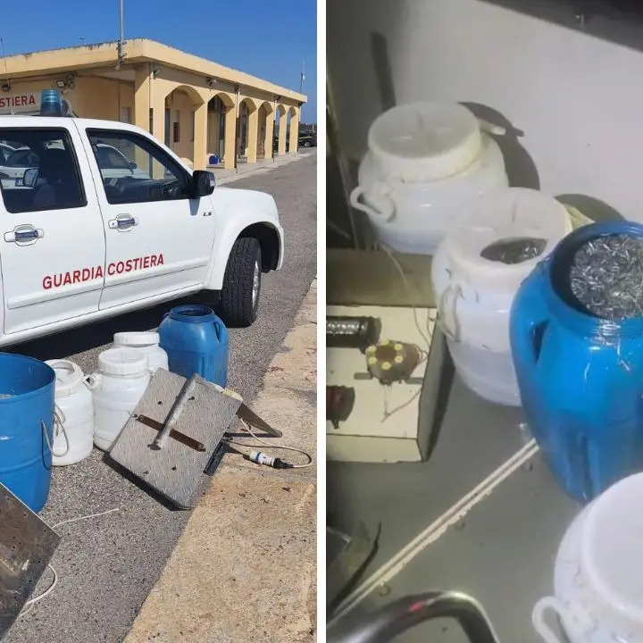 Guardia Costiera di Crotone: maxi controlli sul novellame, sequestrati 250 kg di sarda\n