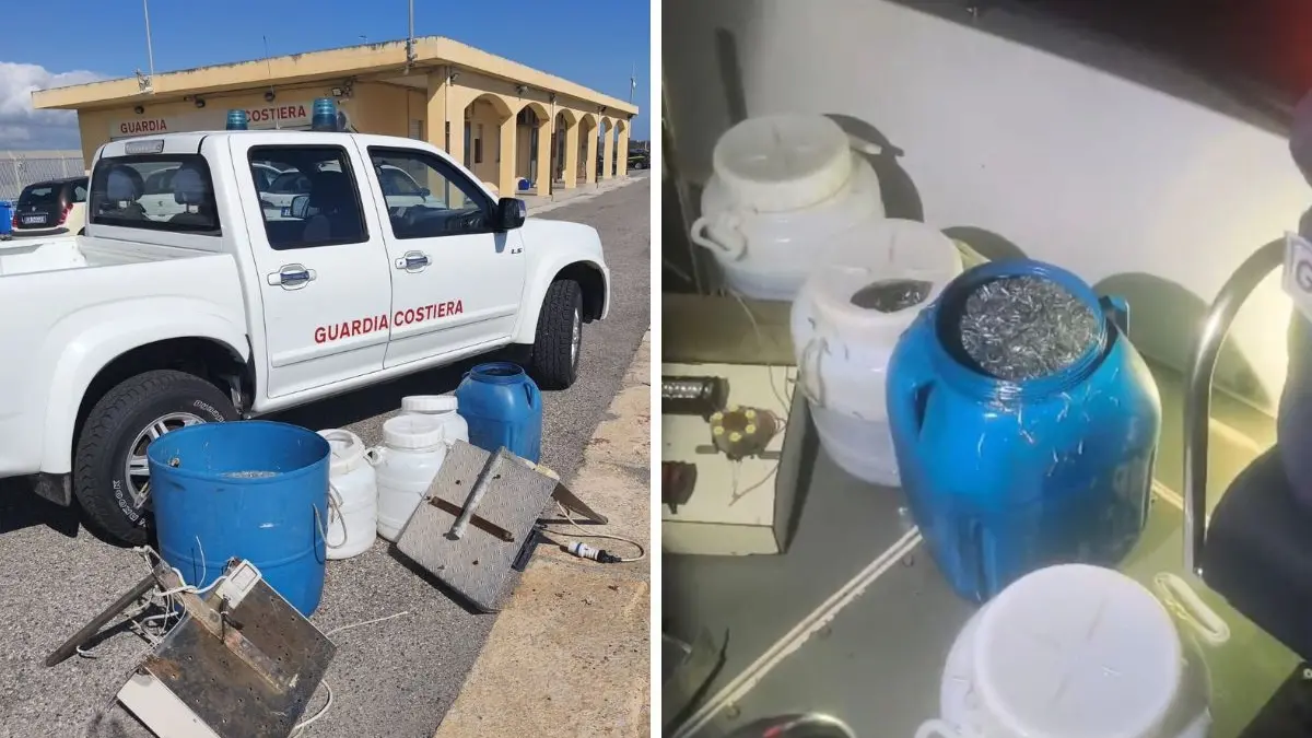 Guardia Costiera di Crotone: maxi controlli sul novellame, sequestrati 250 kg di sarda\n