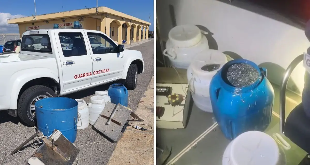 Guardia Costiera di Crotone: maxi controlli sul novellame, sequestrati 250 kg di sarda\n