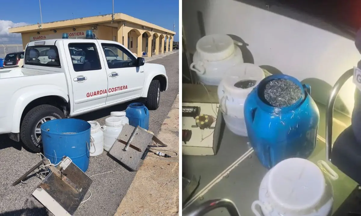 Guardia Costiera di Crotone: maxi controlli sul novellame, sequestrati 250 kg di sarda\n