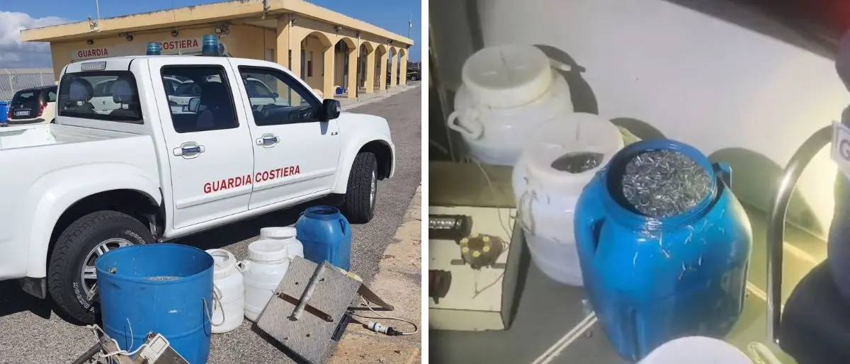 Guardia Costiera di Crotone: maxi controlli sul novellame, sequestrati 250 kg di sarda\n