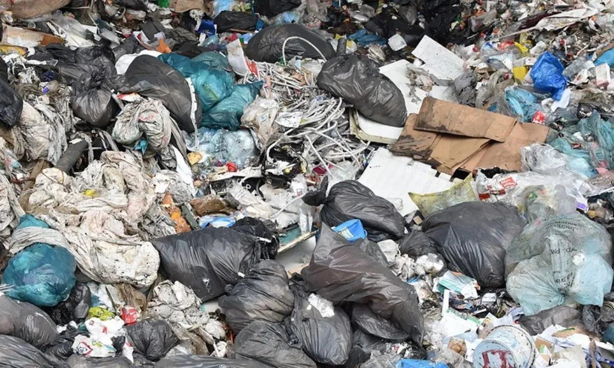 Traffico illecito di rifiuti dal porto di Bari, indagati un imprenditore di Tarsia e funzionari della Regione Calabria\n