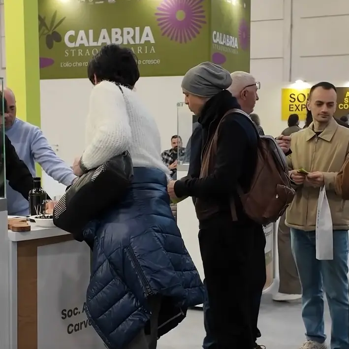 L'olio calabrese protagonista al Sol Expo di Verona, Gallo: «È\u00A0uno dei principali asset della nostra economia»\n