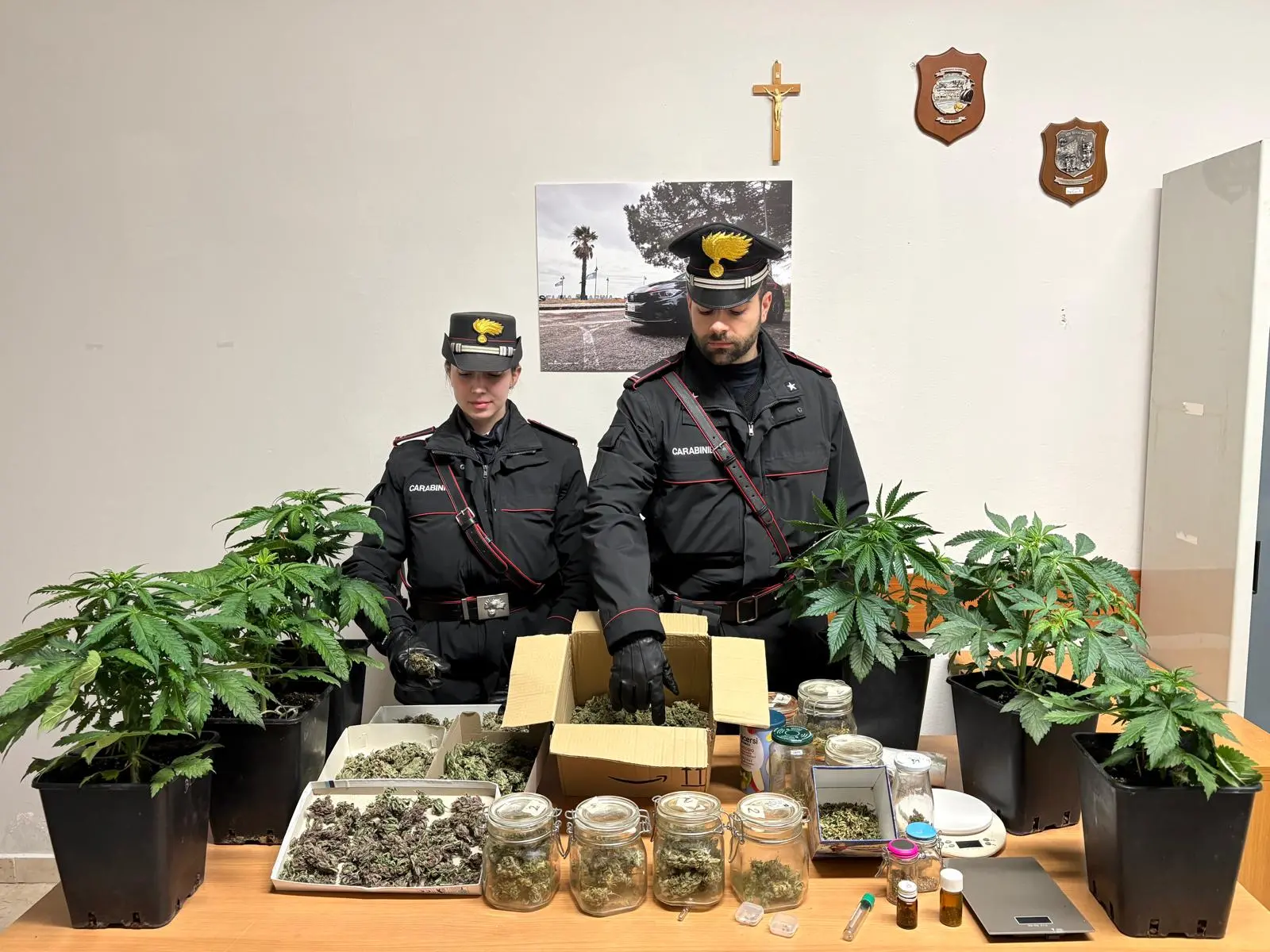 Serre in casa per la coltivazione di marijuana, arrestato un 55enne di Sellia Marina\n