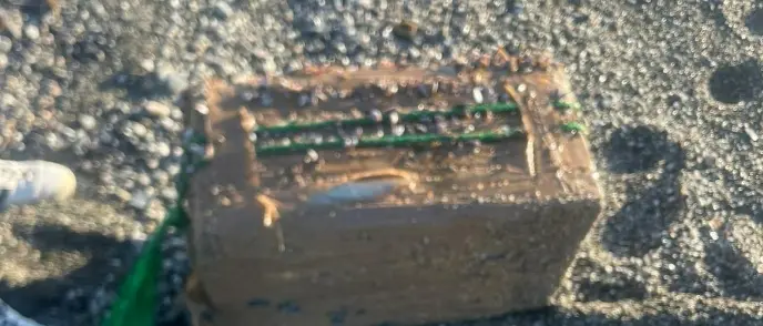 Un pacco di droga sulla spiaggia di Curinga: la Guardia costiera di Vibo sequestra 62 chili di hashish\n