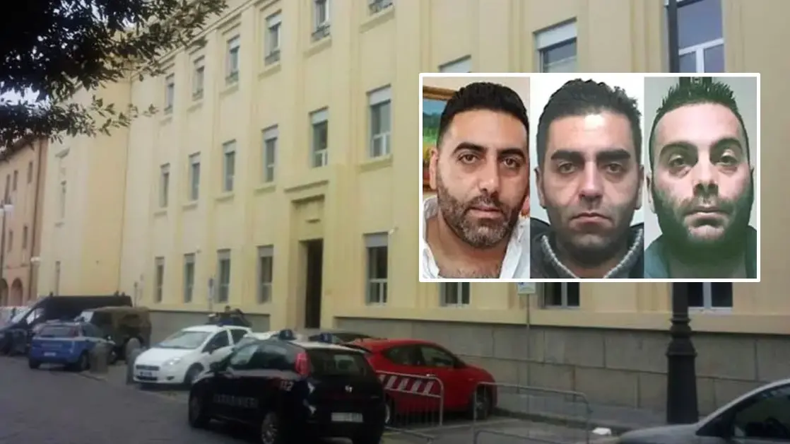 <p>Il Tribunale di Vibo e nei riquadri Angelo Maiolo, Francesco Maiolo (cl. '79) e Francesco Maiolo (cl. '83)</p>\\n