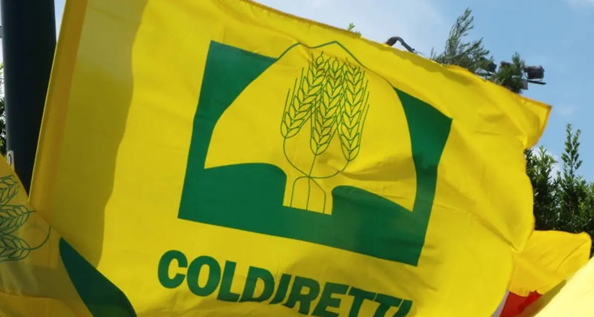 Iran, filiera agroalimentare a rischio. Coldiretti Calabria lancia l'allarme: «Fertilizzanti e energia in rialzo»\n