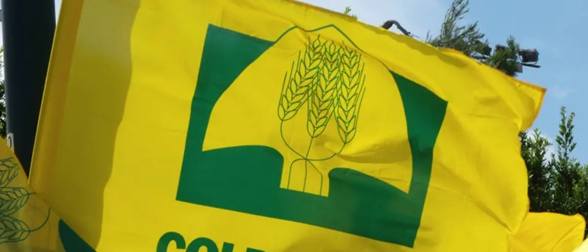 Iran, filiera agroalimentare a rischio. Coldiretti Calabria lancia l'allarme: «Fertilizzanti e energia in rialzo»\n