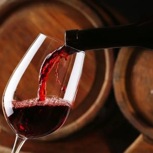 Sequestrati 2 milioni e mezzo di falsi vini Dop e Igp per un valore di oltre 4 milioni di euro: 24 denunciati\n