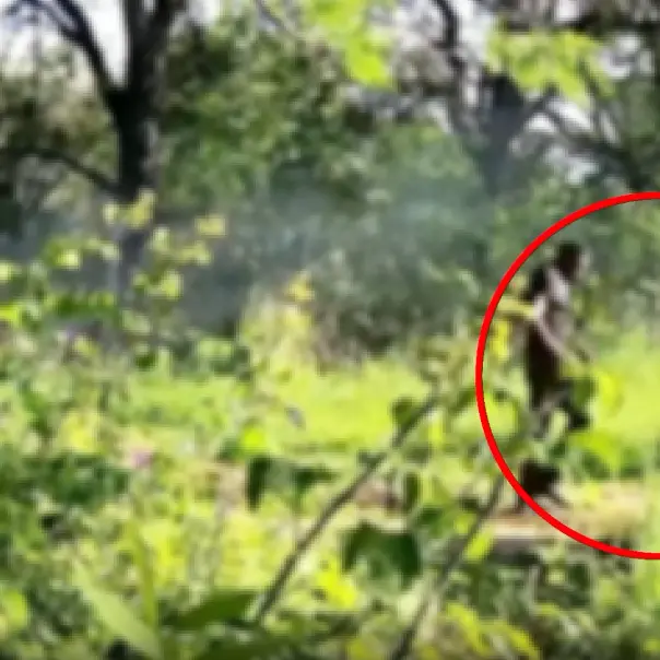 Discarica abusiva nel burrone a Taurianova: 15 denunciati e 16 veicoli sequestrati nella Piana di Gioia Tauro\n