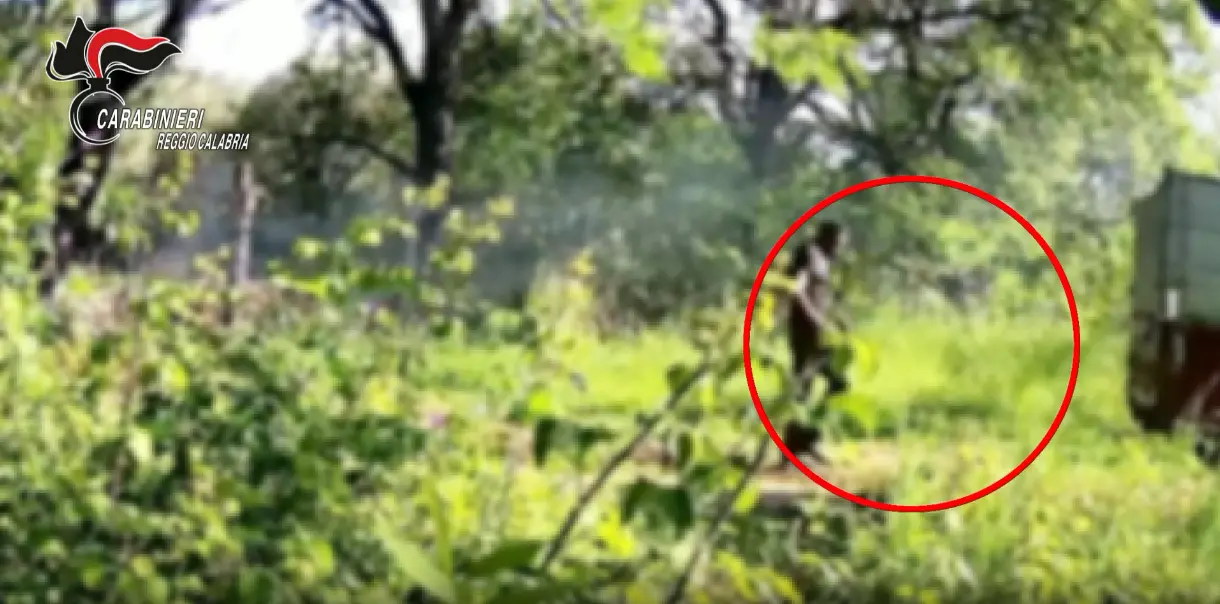 Discarica abusiva nel burrone a Taurianova: 15 denunciati e 16 veicoli sequestrati nella Piana di Gioia Tauro\n