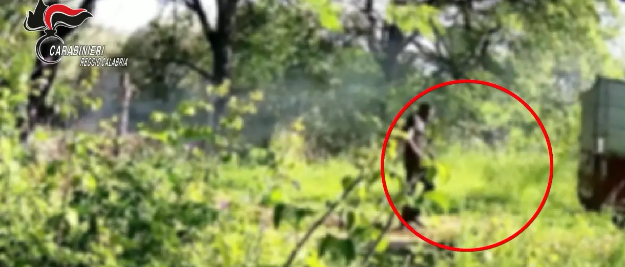 Discarica abusiva nel burrone a Taurianova: 15 denunciati e 16 veicoli sequestrati nella Piana di Gioia Tauro\n