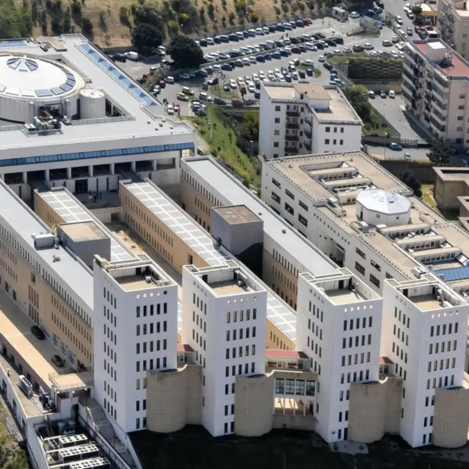 UniRC, forum conclusivo del ciclo ideato e programmato dal Progetto UrbanLab BiodiverCity\n