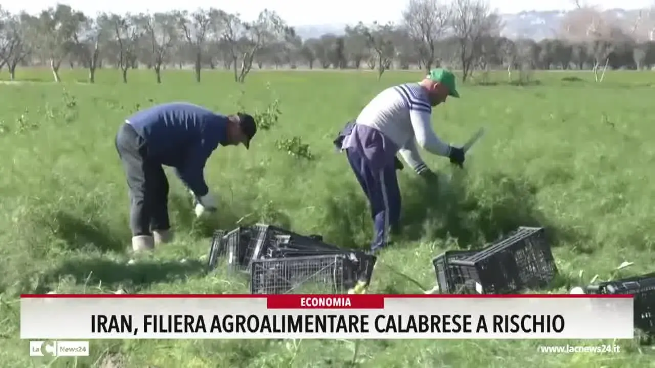 Iran, filiera agroalimentare calabrese a rischio