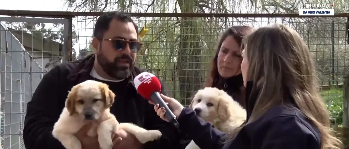 Randagismo, dal canile di Vibo l’allarme dell’assessore Colelli: «Troppi Comuni senza convenzioni, il capoluogo paga per tutti»\n