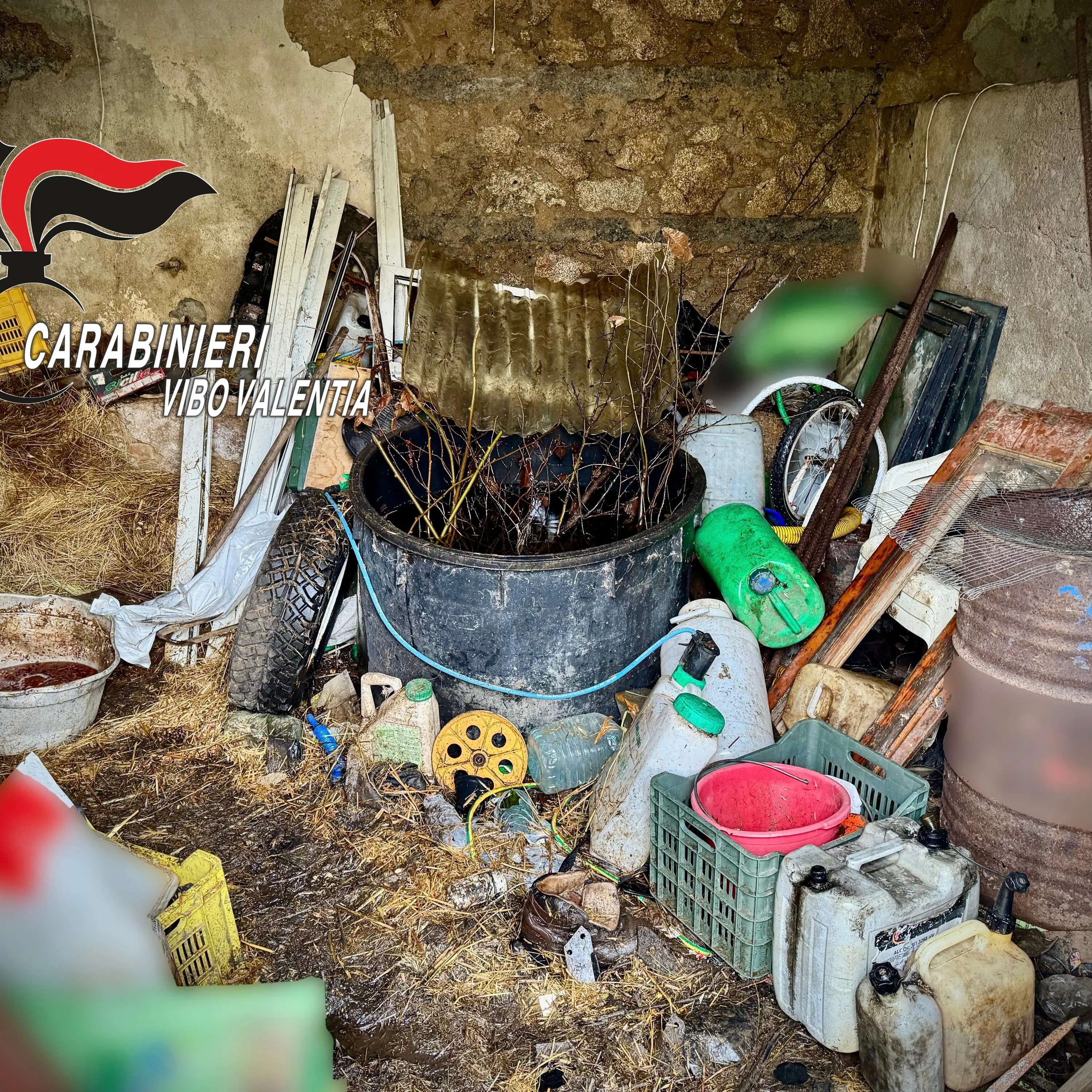 Nardodipace, rifiuti speciali abbandonati su un terreno:\u00A0sequestrata area di 150 metri quadri, denunciato un uomo\n